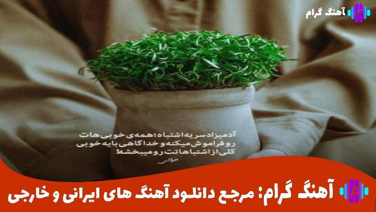 کاور آهنگ ﭼﻴﻪ ﭘﺮواﻧﻪ ﮔﺸﺘﻢ ﺑﻪ دورش ﻫﺮ ﭼﻰ ﭼﺸﻢ ﻣﻴﭽﺮﺧنم از حمیدرضا بابایی